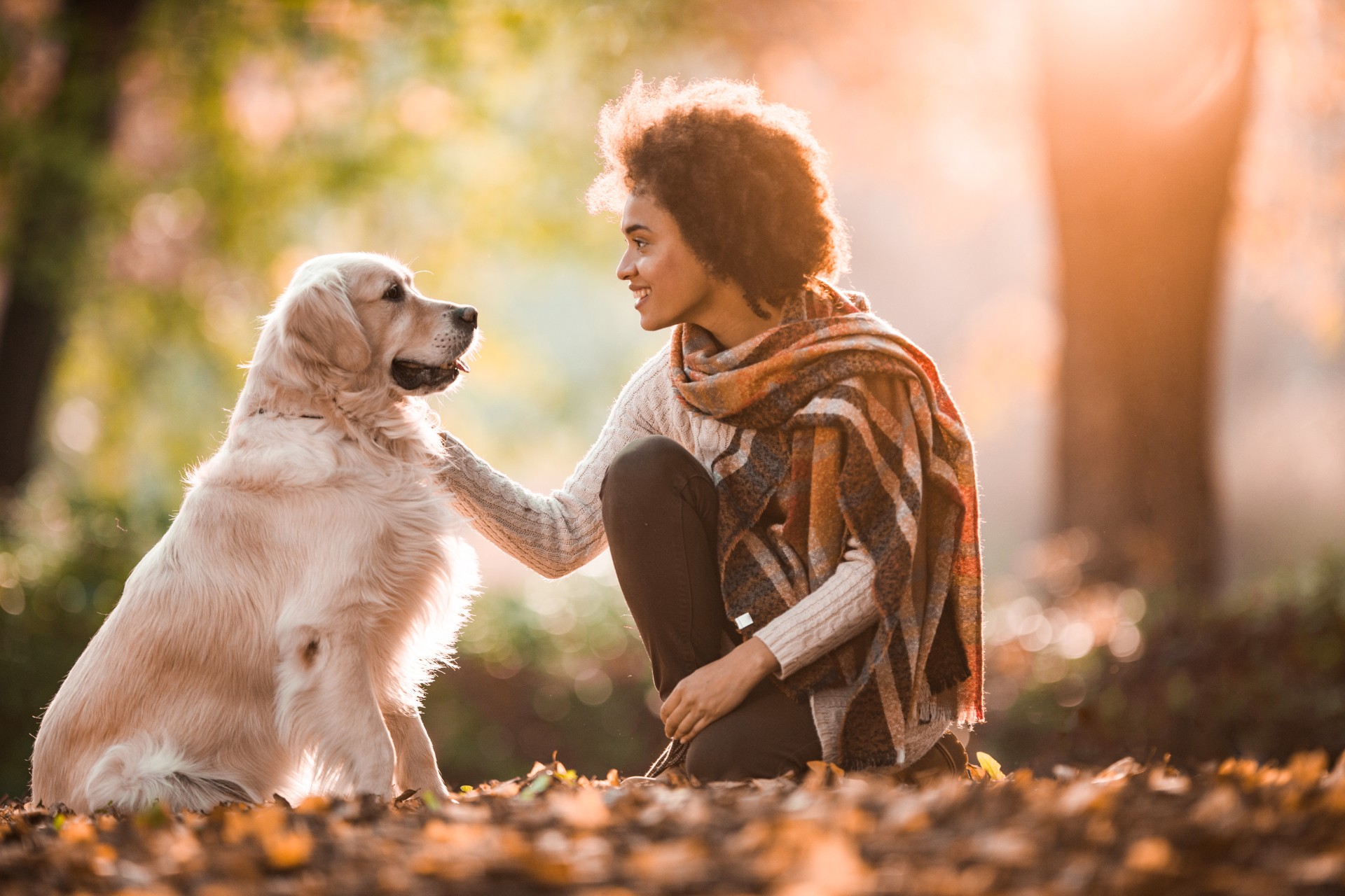 how long does it take to potty train golden retriever puppy