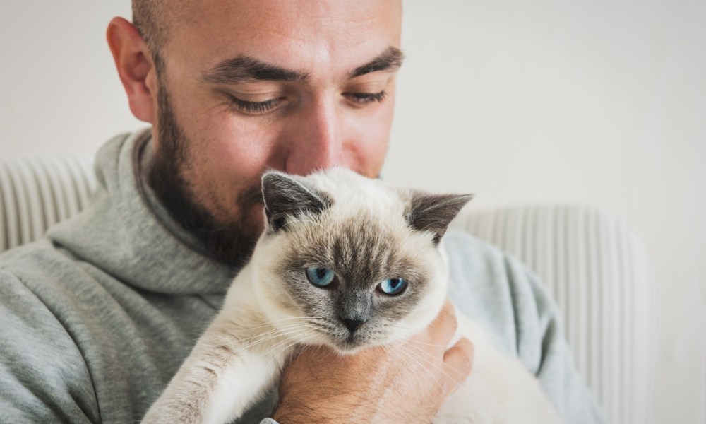 Man holding a Siamese cat