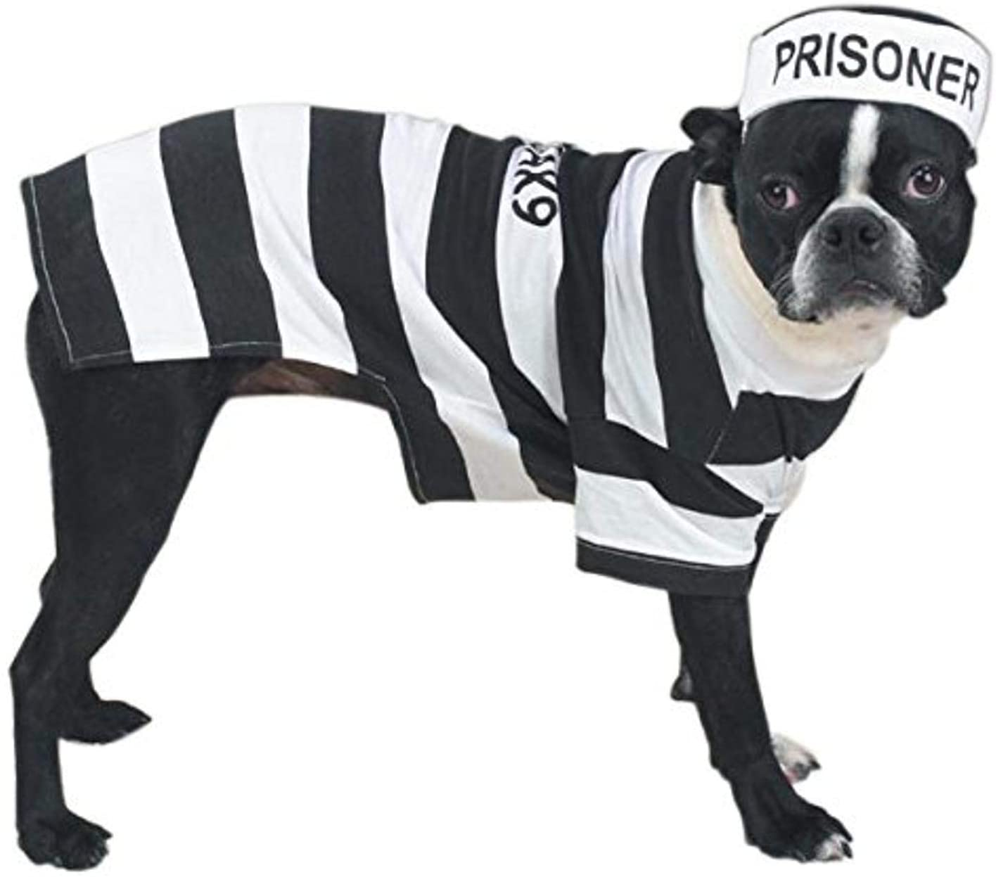 Jailbird dog costume