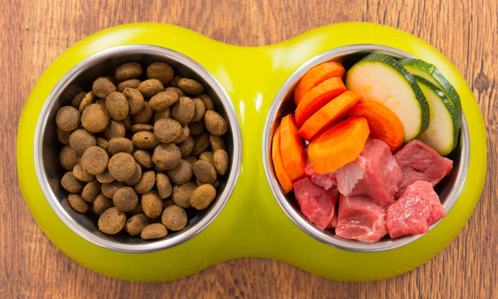 Dog food and human food in a bowl