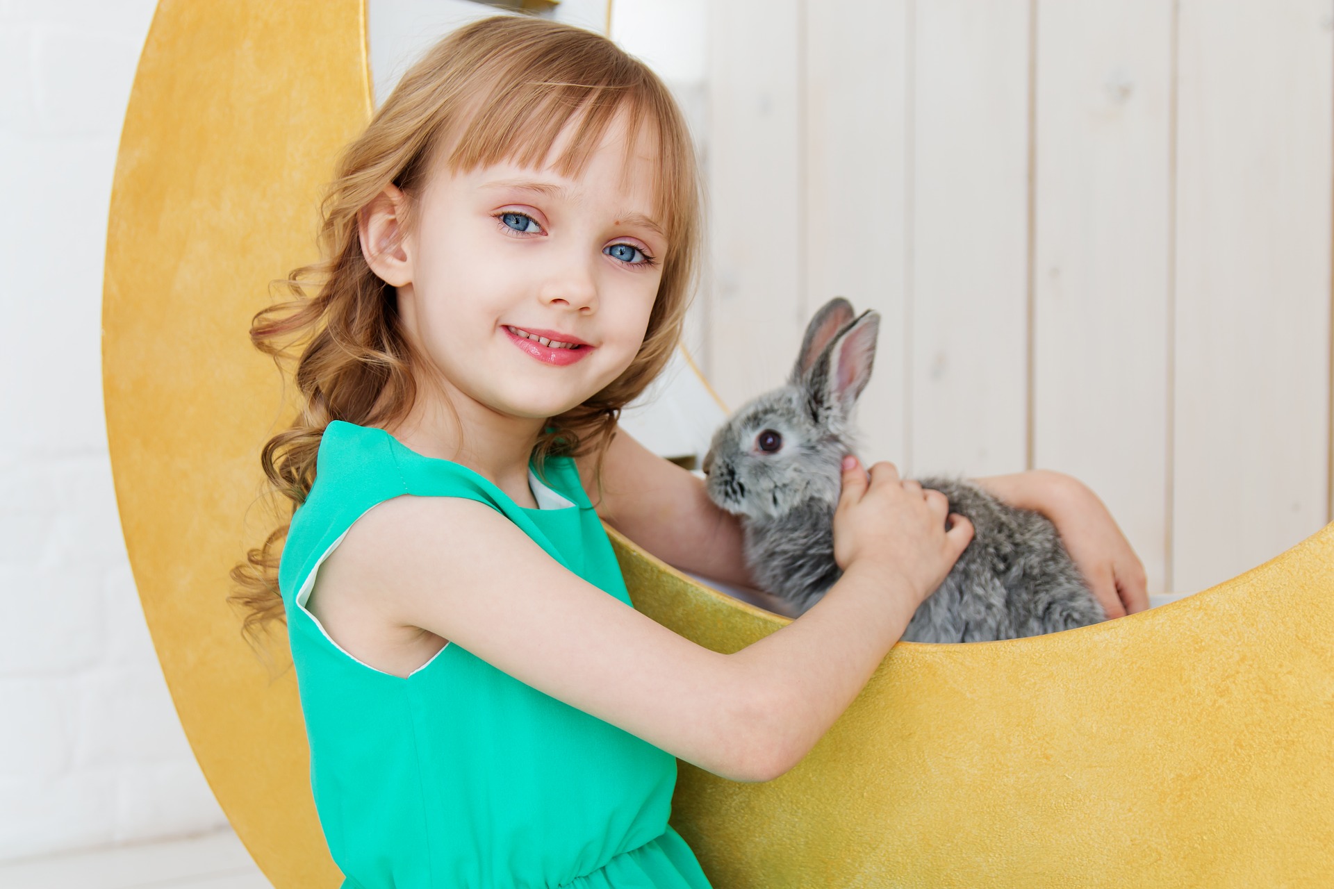 Young girl patting a grey rabbit