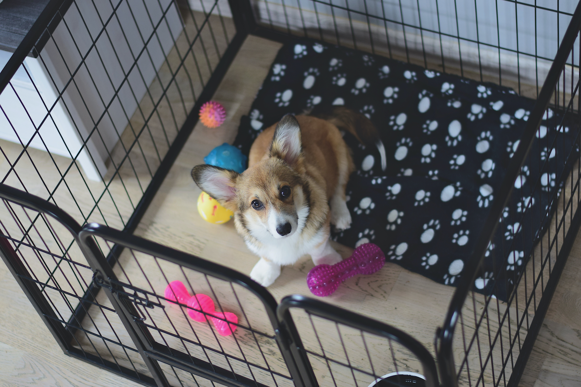 playpen and crate