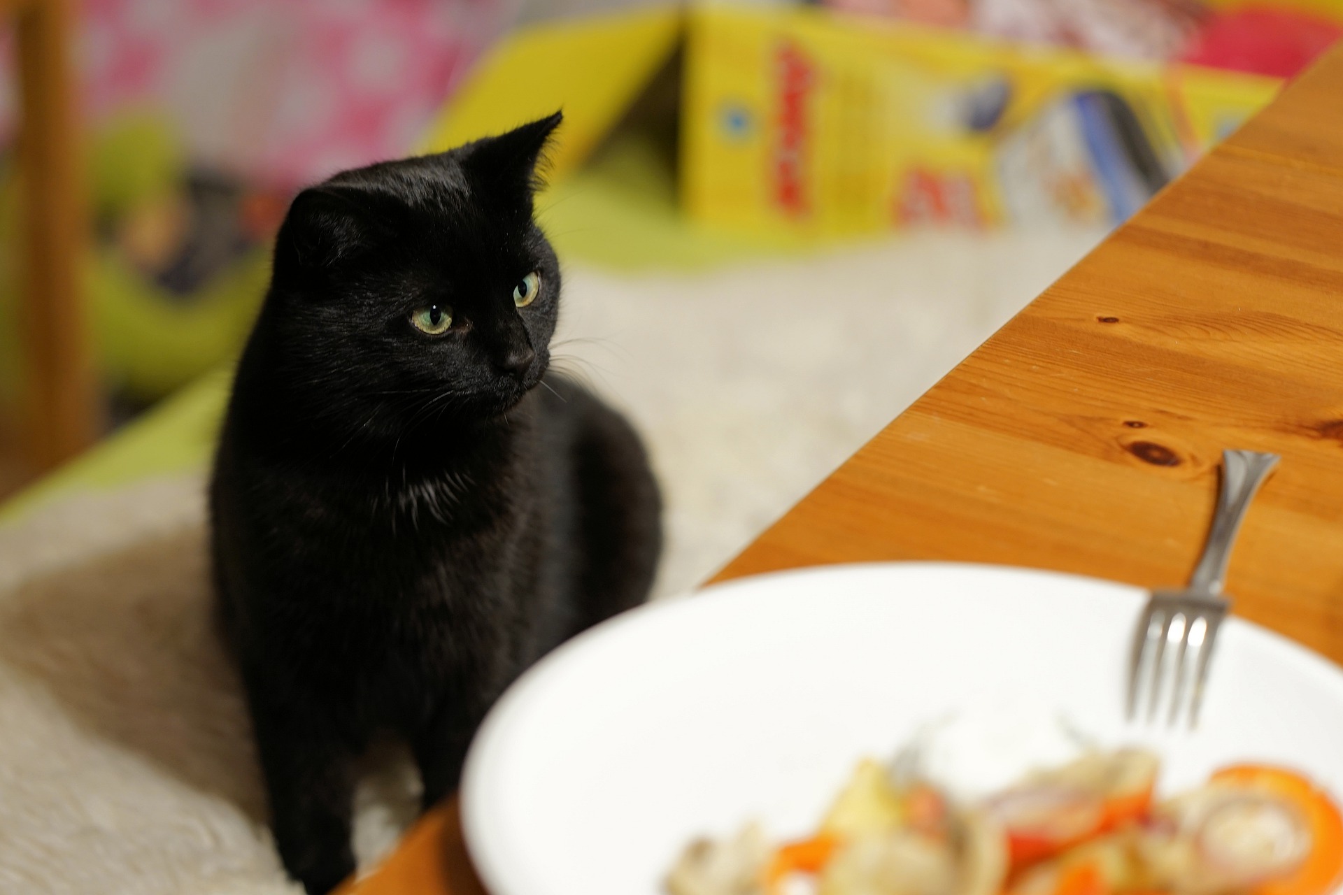 Sharing dishes hot sale with cats