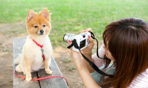 a woman takes a picture of her small dog in the park