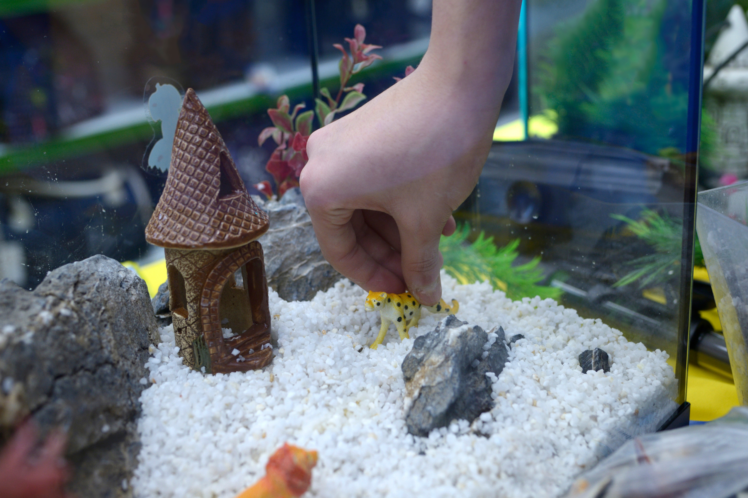 Decoration Do's and Don'ts. The aquarium pictured above looks fun
