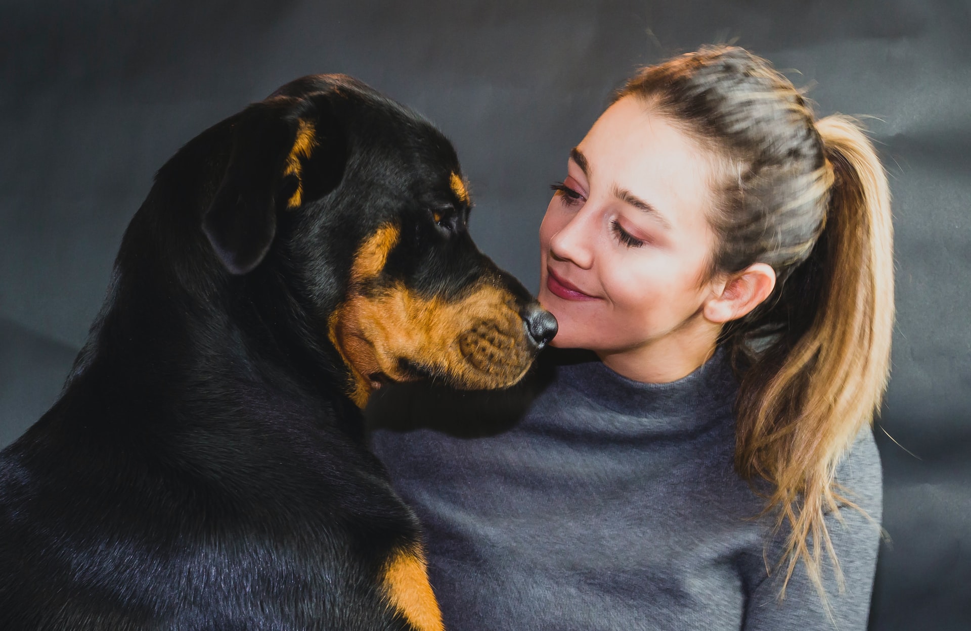 Best dog outlet bed for rottweiler