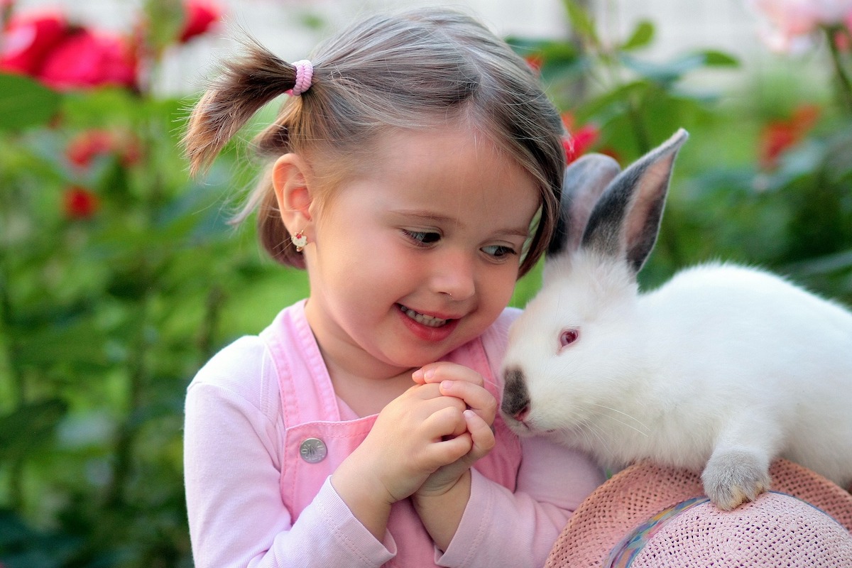 Rabbit sits on a girl's shoulder