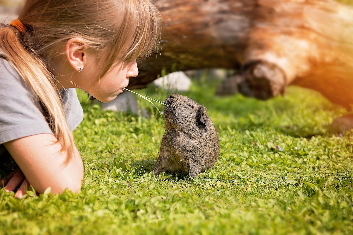 Girl with her guinea pig outside