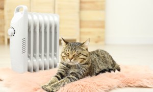 A tabby cat stretched out on a faux fur rug near a space heater.