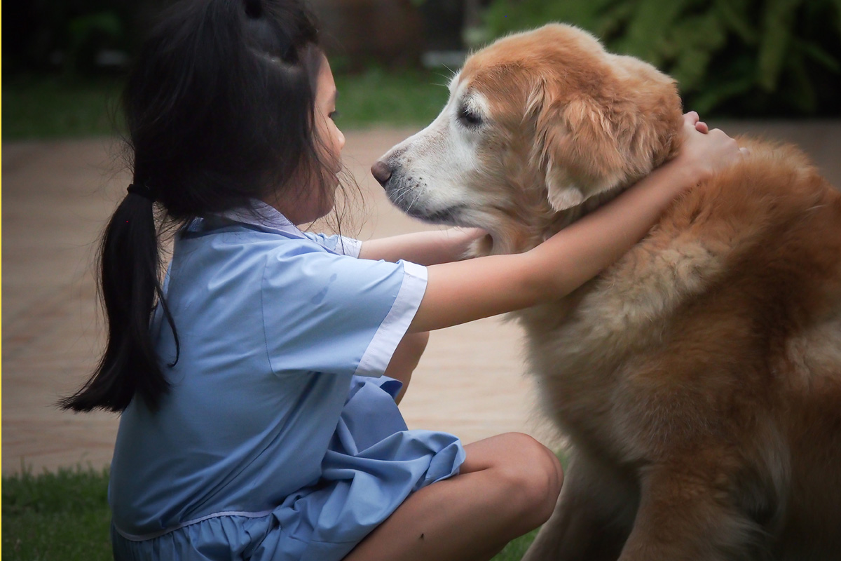 Young girl hugging elderly dog.