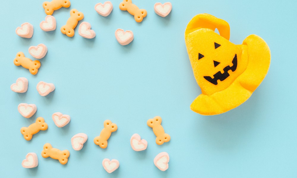 Dog treats spread out around a witch hat-shaped dog cookie