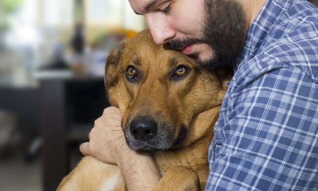 Man in a plaid shirt hugging his dog