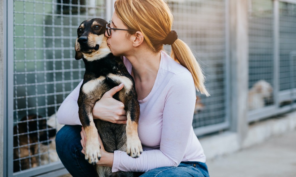 A woman hugs and kisses a dog at the shelter