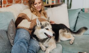 A woman lies on the couch with a husky mix dog