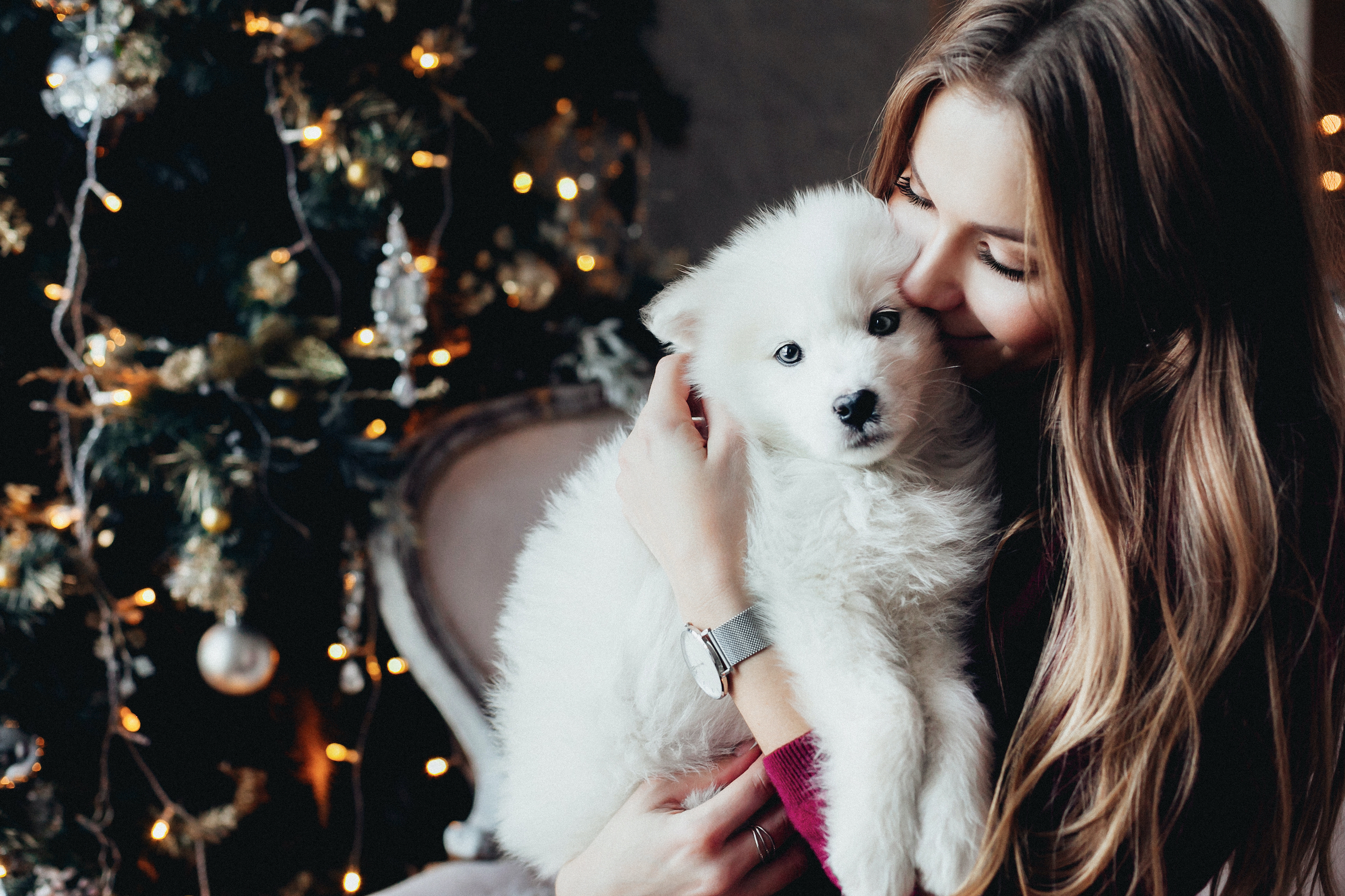 Puppy's first christmas sweater best sale