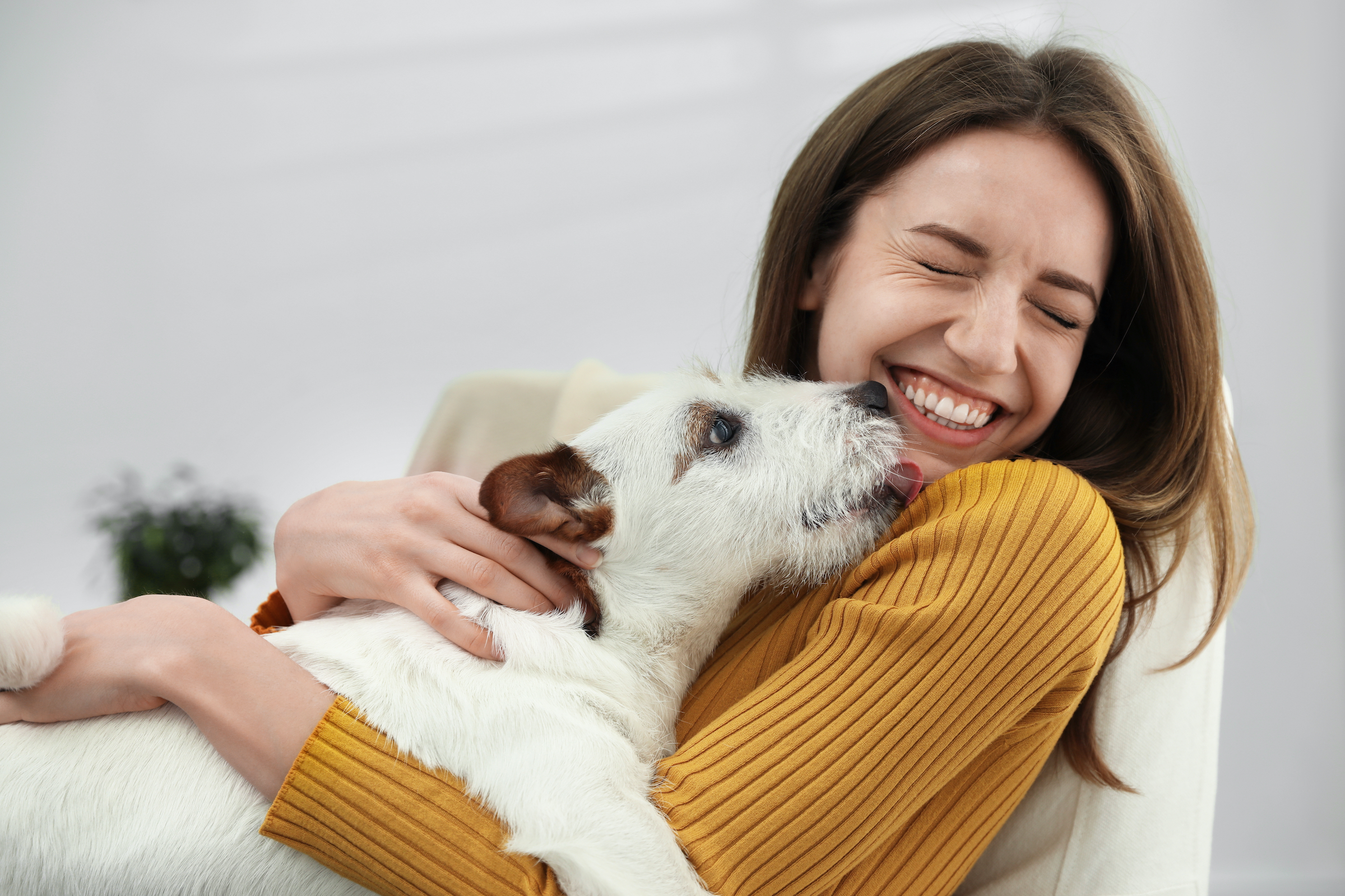 https://www.pawtracks.com/wp-content/uploads/sites/2/2022/01/dog-licks-woman-chin-yellow-sweater.jpg?fit=1024%2C1024&p=1