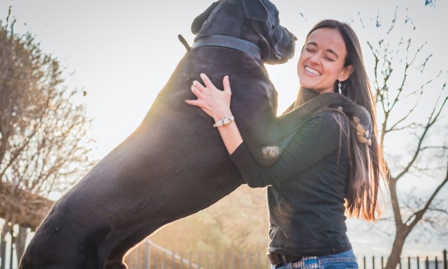 A woman hugs her Great Dane who stands with front paws on her shoulders