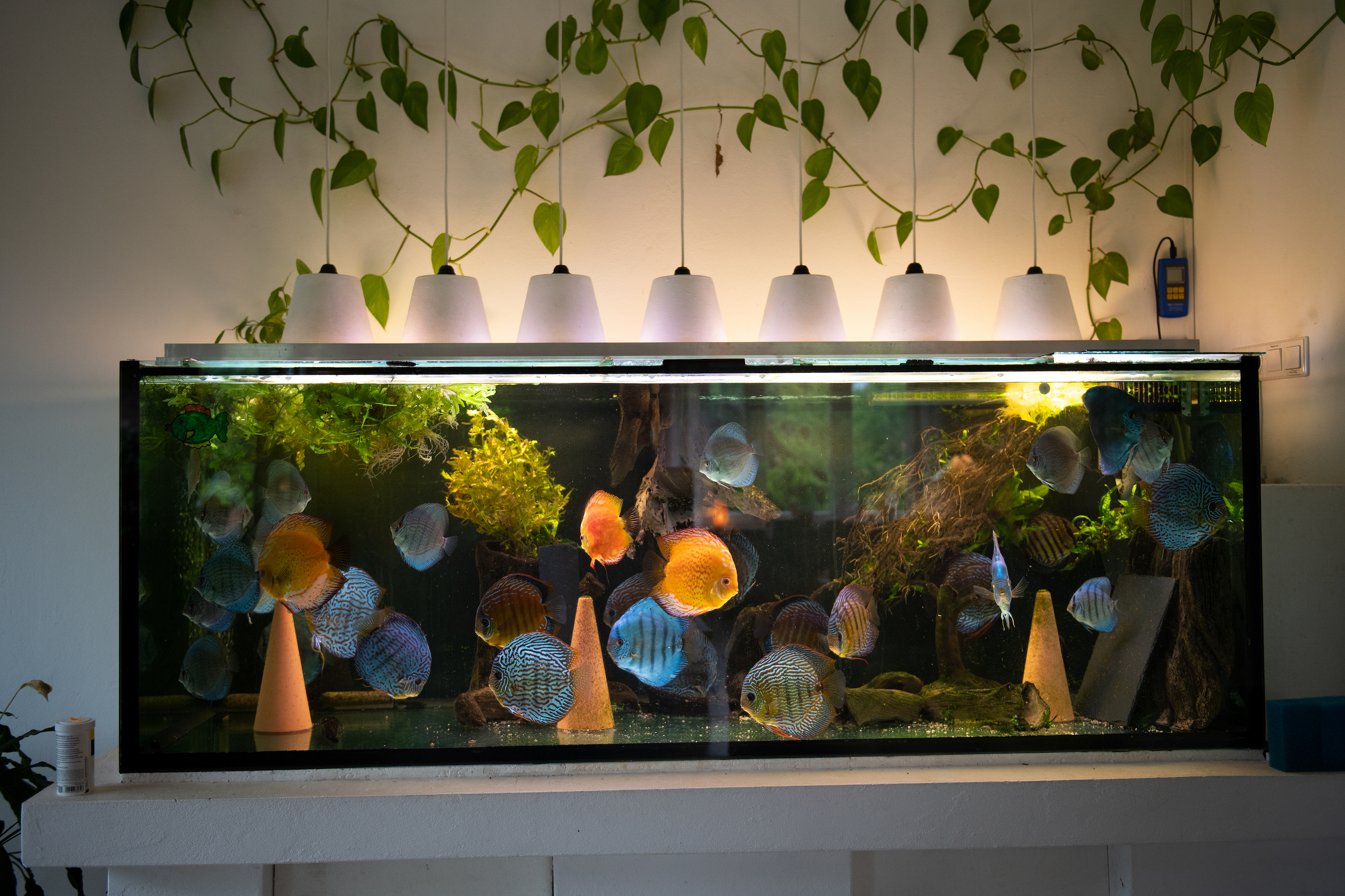 Aquarium hotsell house decoration