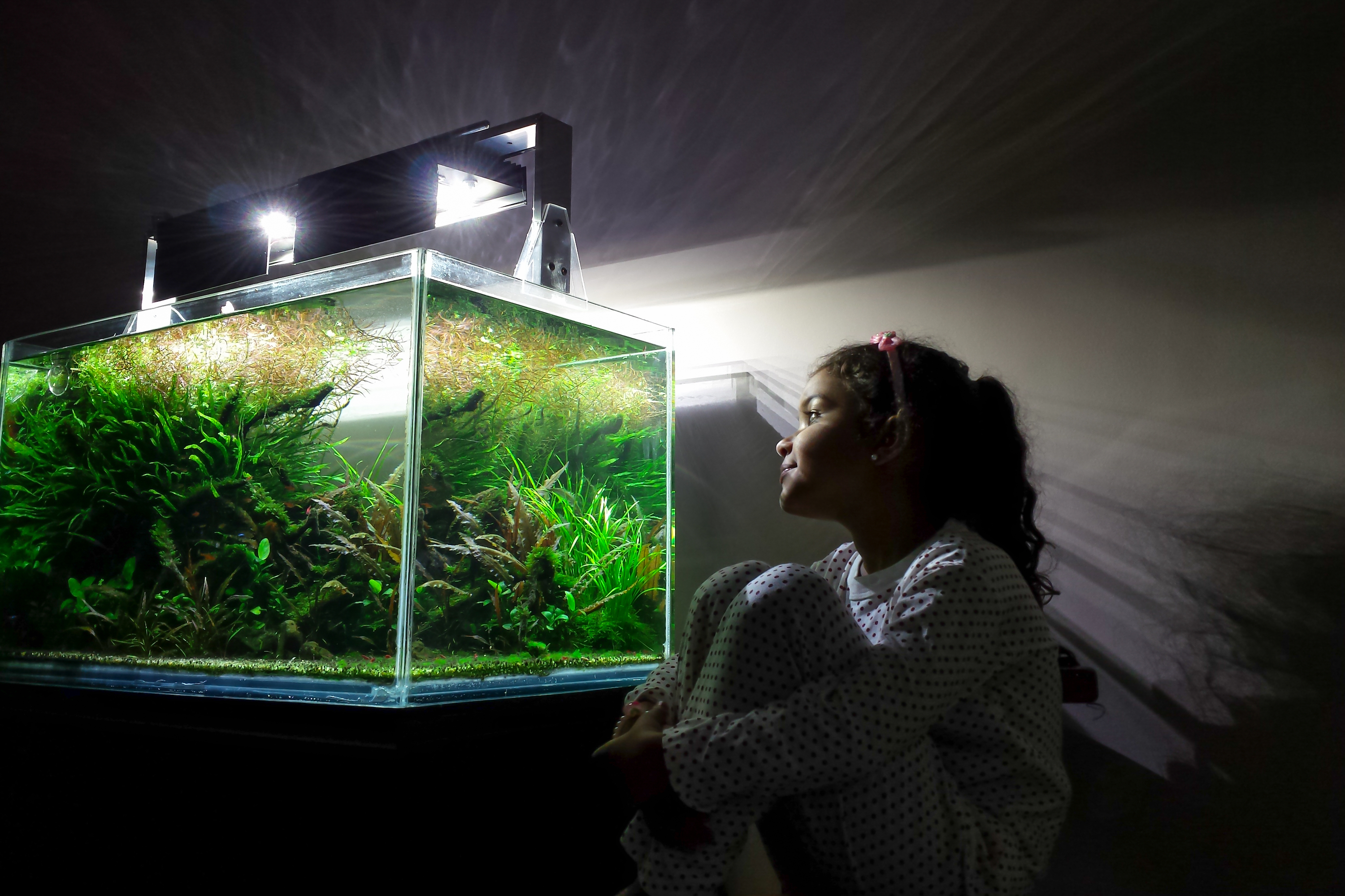 Girl stares wistfully at a lighted aquarium