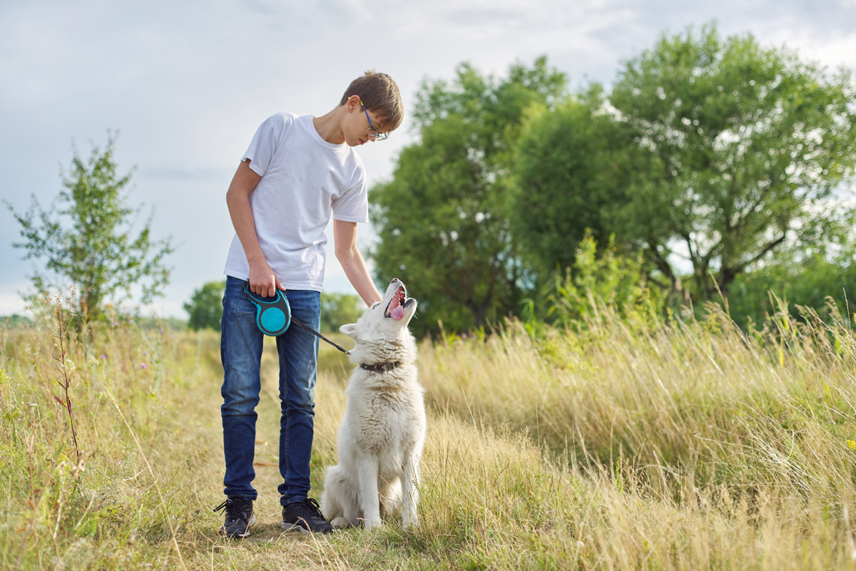 what are the teenage years for dogs