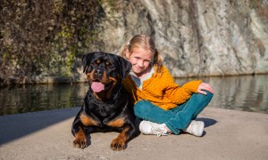 Young girl with her arm around a Rottweiler.