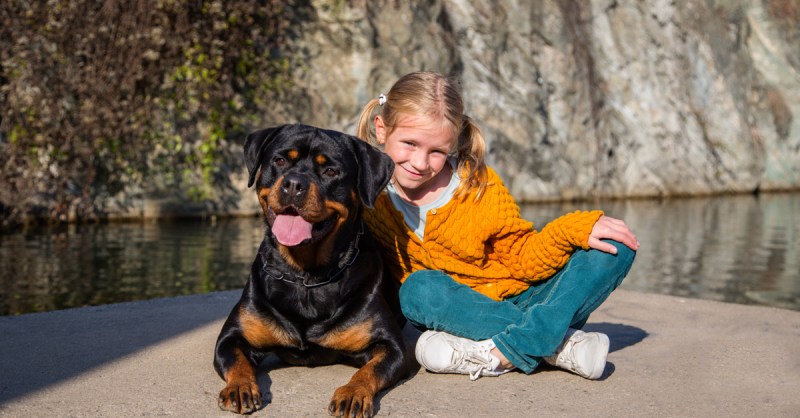 Rottweilers are more than guard dogs: 5 cute traits | PawTracks