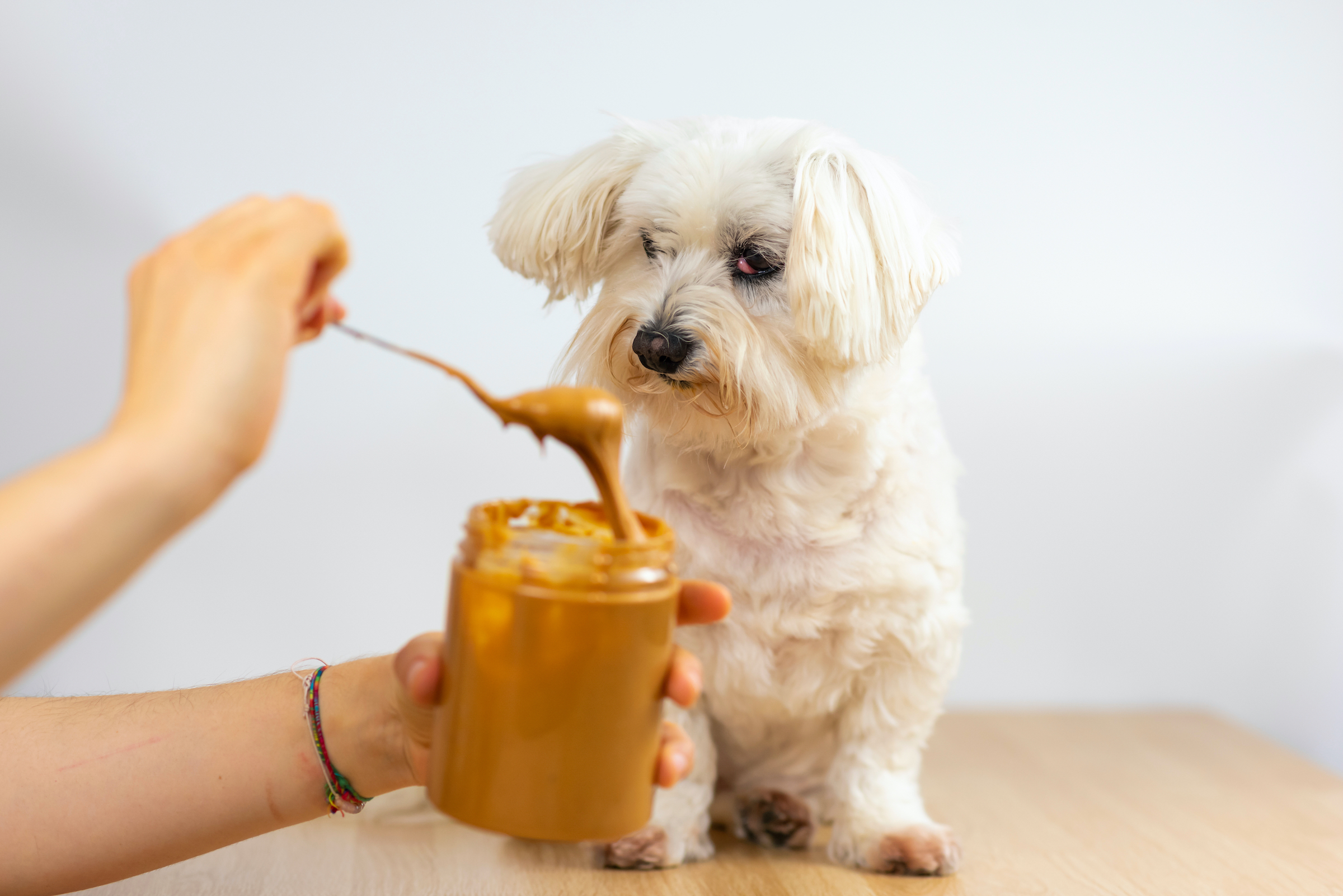 are raw peanuts safe for dogs