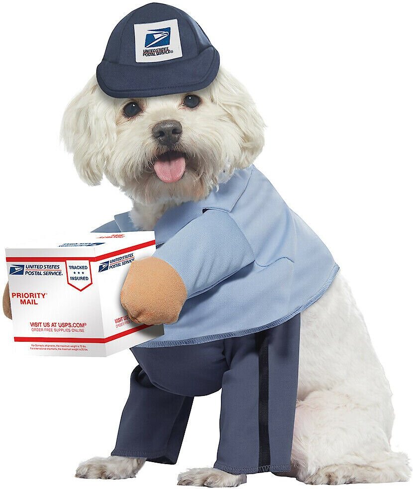 A small white dog sits while wearing a 'standing' mailman costume