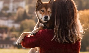 Woman hugging a dog