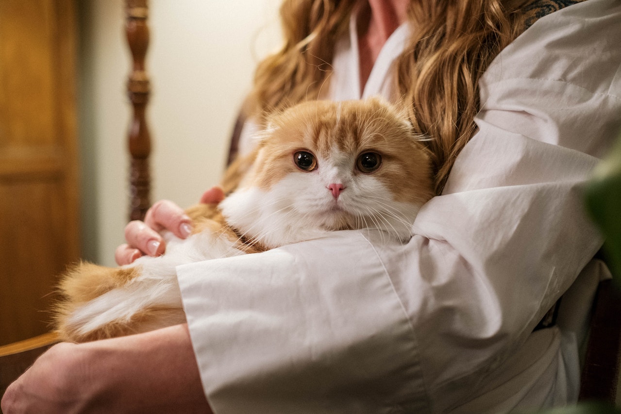 A woman with long blonde hair holds an orange and white cat in her arms. She's wearing a white blouse with billowing sleeves.