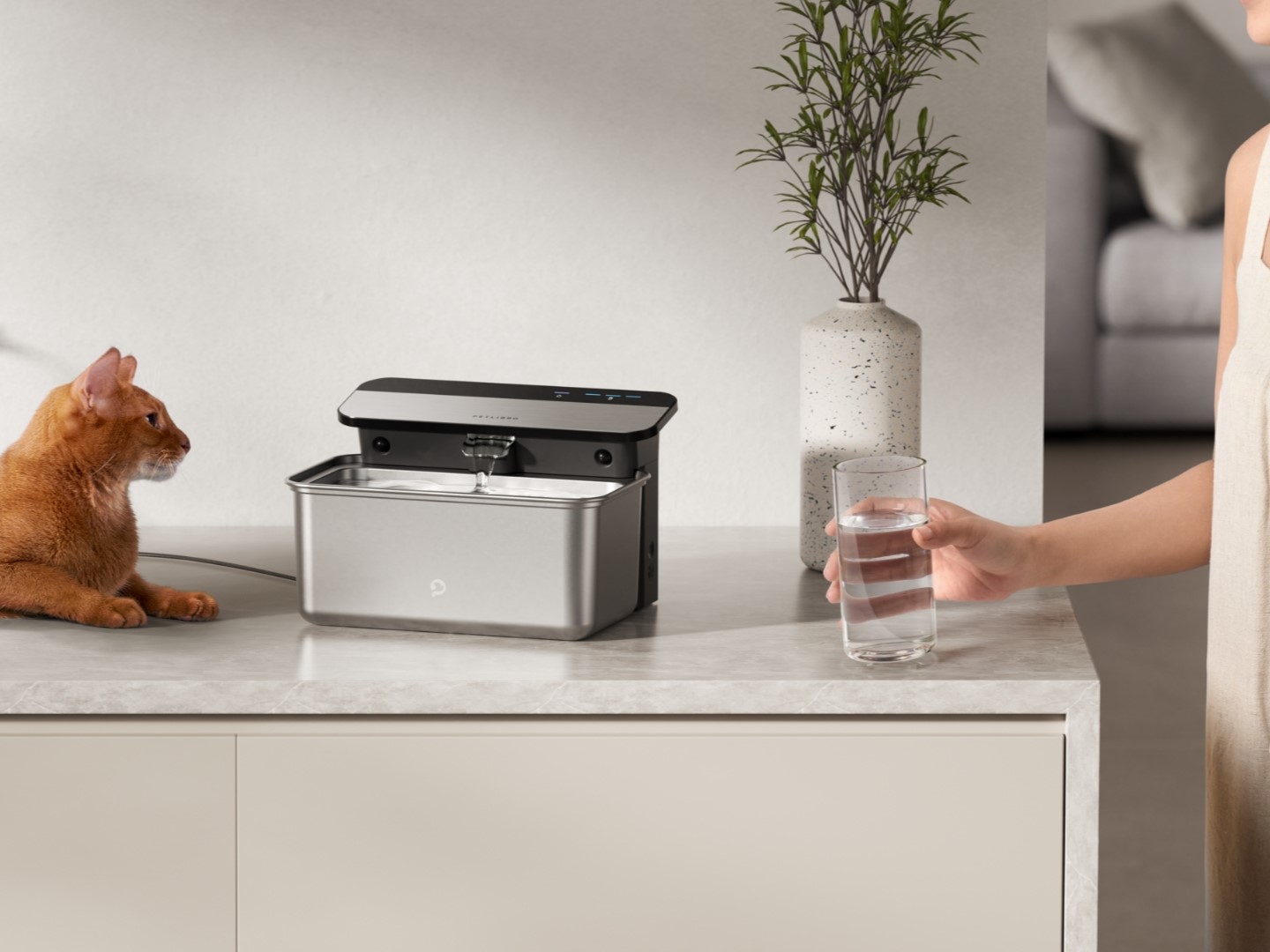 PETLIBRO Glacier ultrafiltration cat water fountain on counter with nearby human.