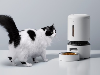 This PETLIBRO smart cat feeder has a camera to monitor them | PawTracks