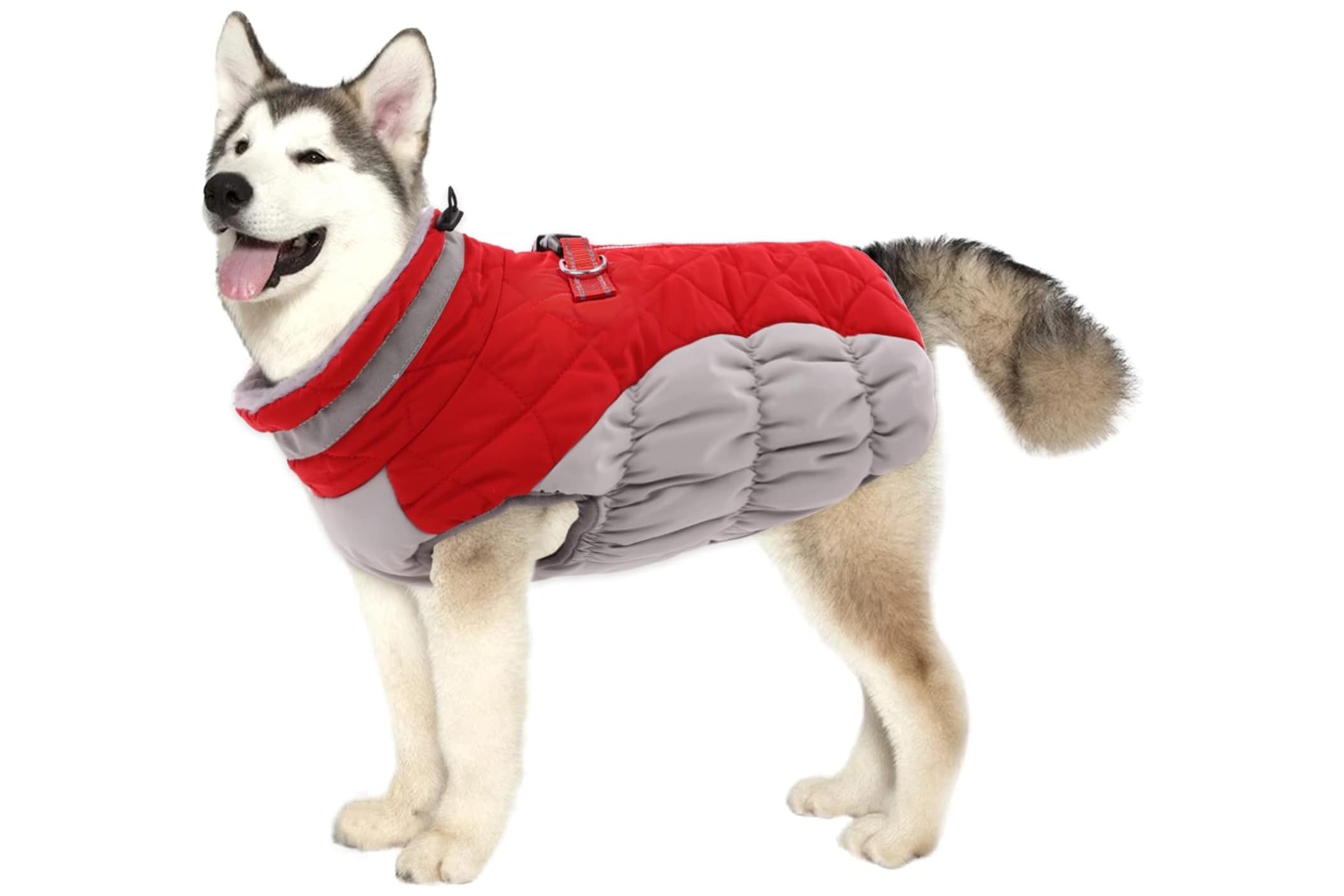 The Best Dog Winter Coat In 2024 PawTracks   Lelepet Dog Winter Coat 