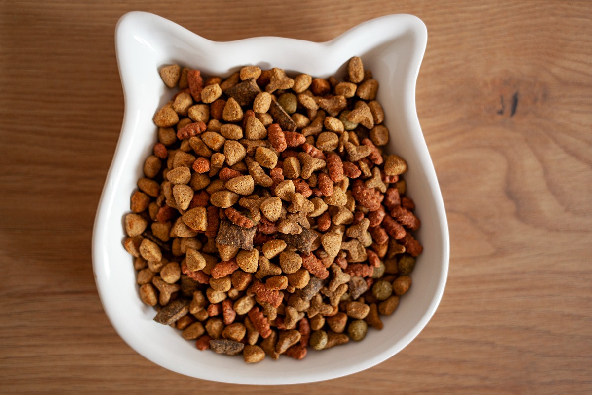 Tips on How to Store Dry Cat Food the Right Way PawTracks