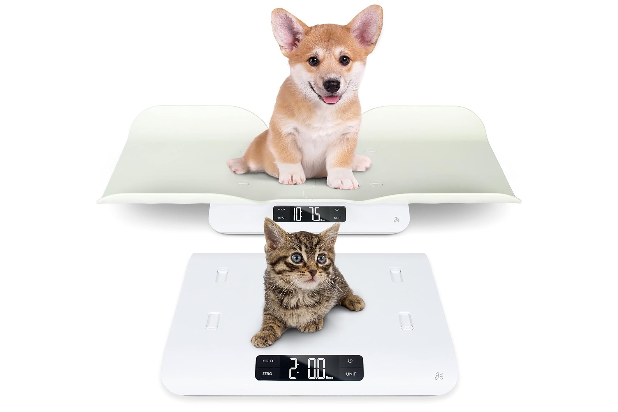 greater goods pet scale