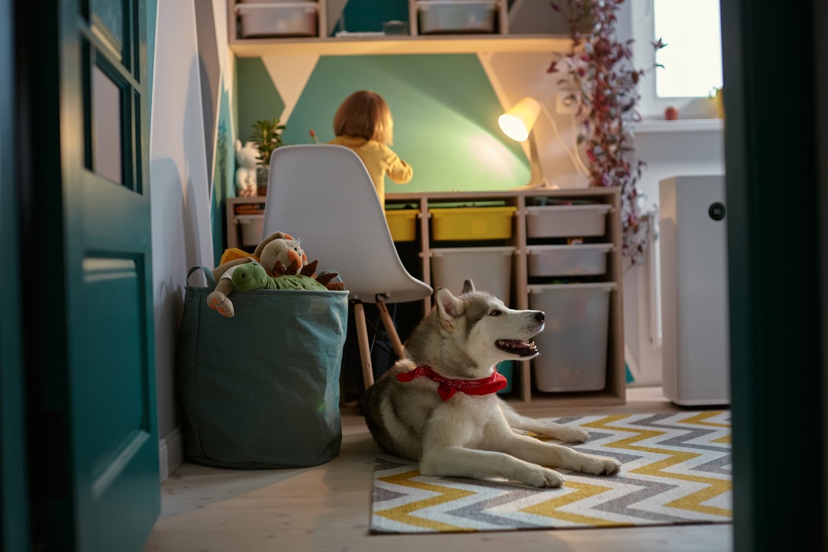 Allergy Child, pet dog and air purifier in children's room.