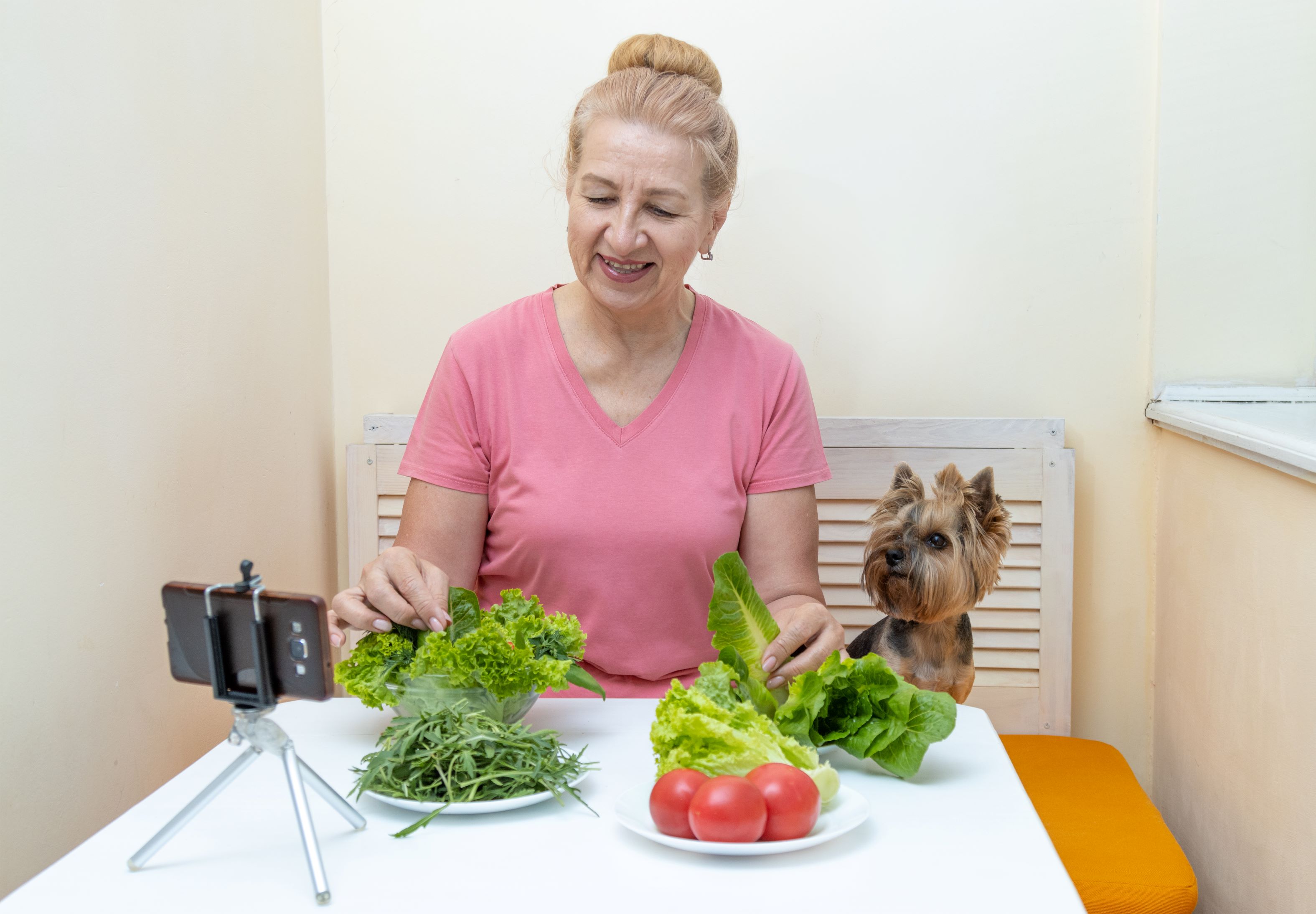 Dog and lettuce