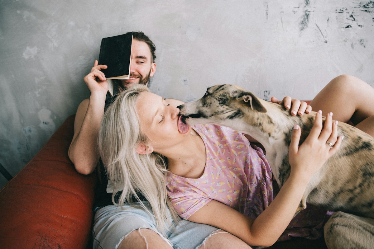 dog licking human sitting on couch