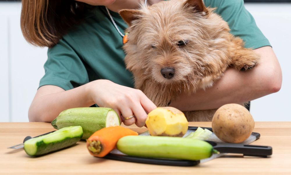 Preparing homemade dog food with veggies