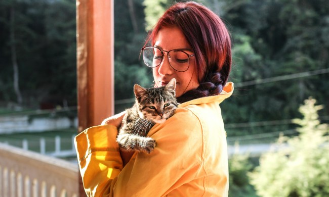 A woman wearing a yellow jacket holds a tabby cat while standing outside