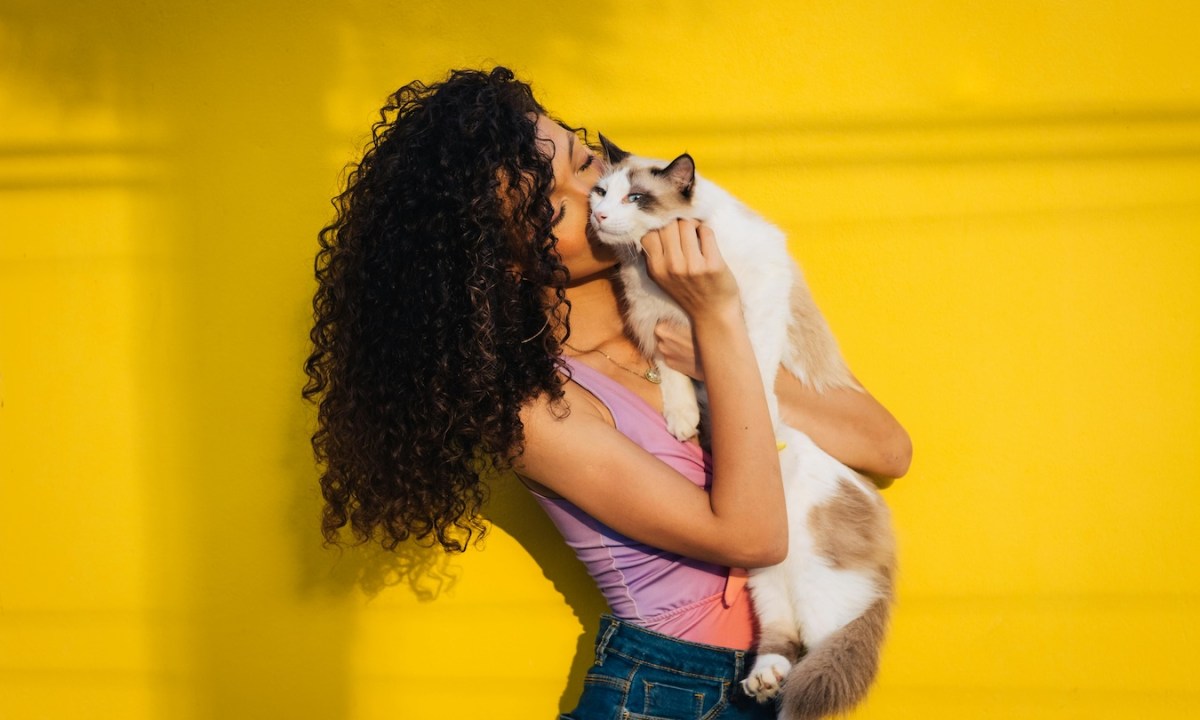 do cats understand kisses woman cat